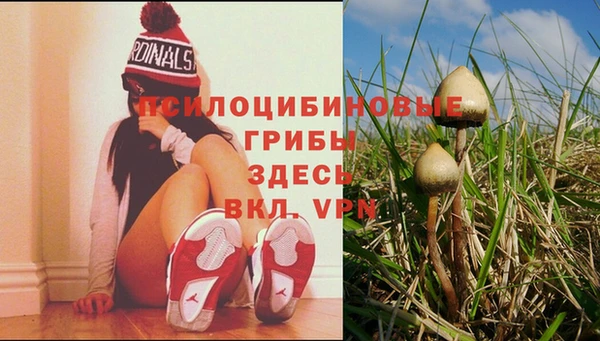 гидра Алексин