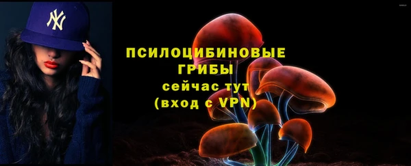 гидра Алексин