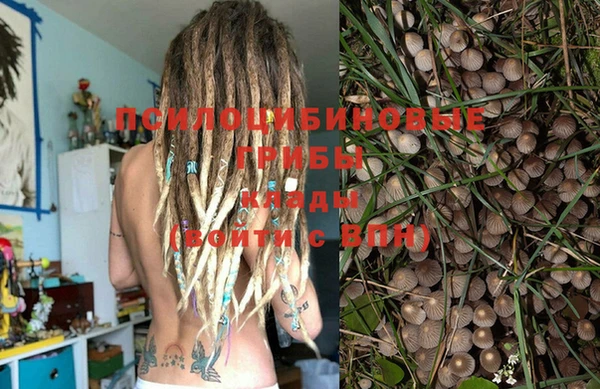 дживик Алзамай