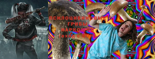 гидра Алексин